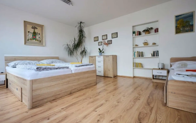 Apartment Formanka Liberec