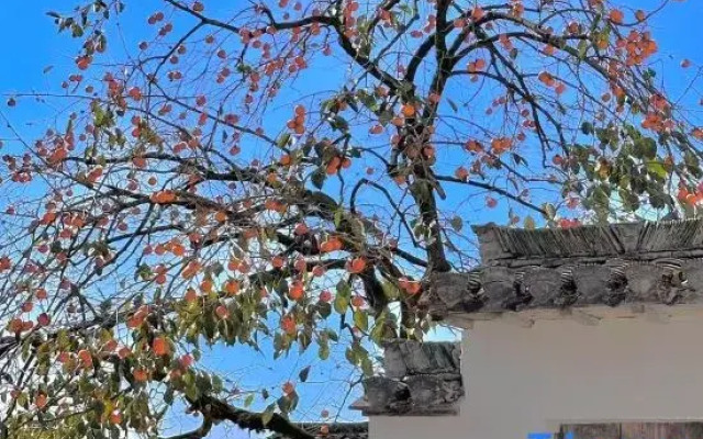 Hongcun knows • Food House B&B (Tachuan Scenic Area)