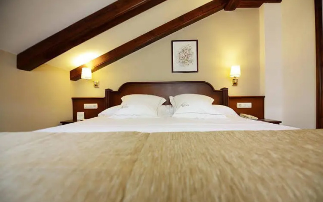 Hotel Abetos