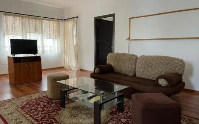 Olanesti Apartments