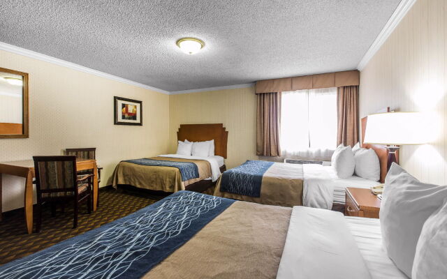 Quality Inn & Suites Los Angeles Airport - LAX 0