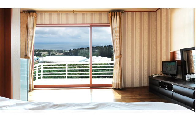 Seogwipo Bluesky Pension