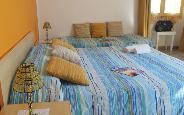 Actinia Accomodation