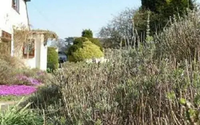 Greensands B&B
