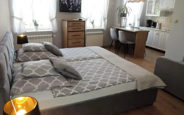 Mansion in Swinoujscie Near Baltic Sea Beach