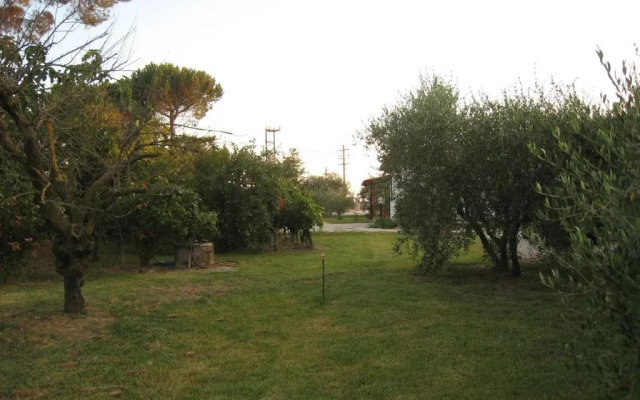 La Carraia