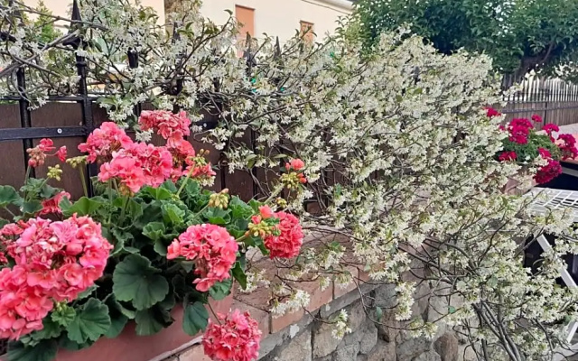 B&B Quattro Lune