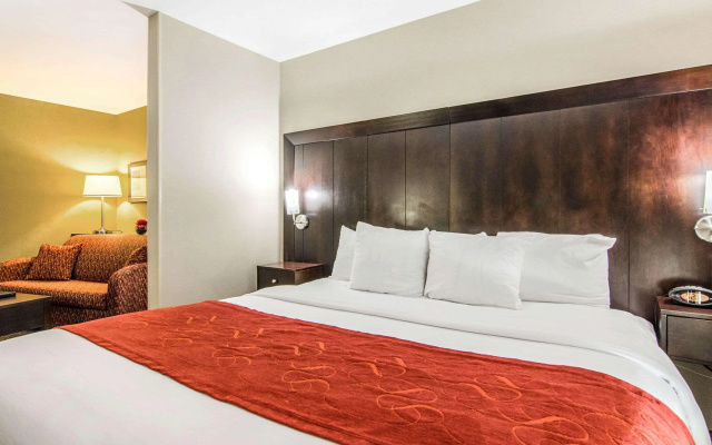 Comfort Suites Bentonville - Rogers