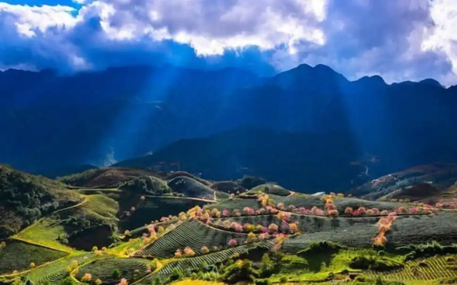 Sapa Dao Homestay