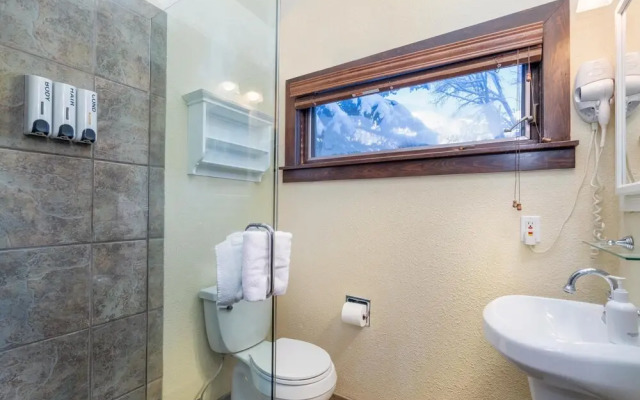 Manitou Lodge 5 Hotel Room by Alpine Lodging Telluride