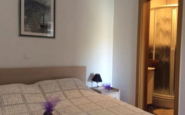 Apartment Vlatko