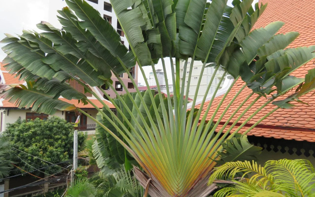 The Little Garden Boutique Hotel