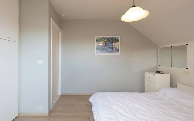 Spacious Apartment With Terrace