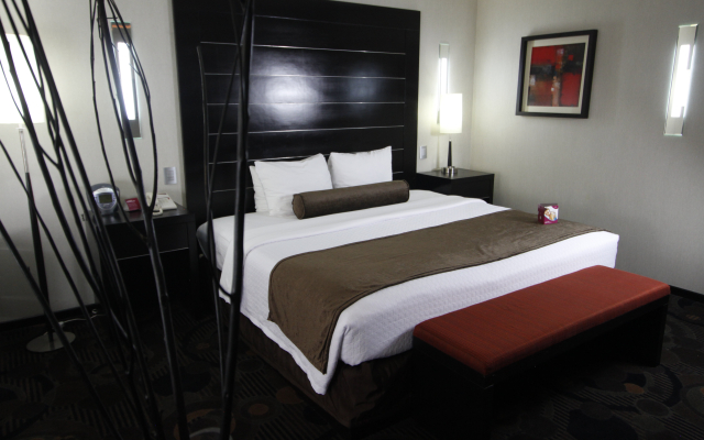 Crowne Plaza Toluca Lancaster by IHG