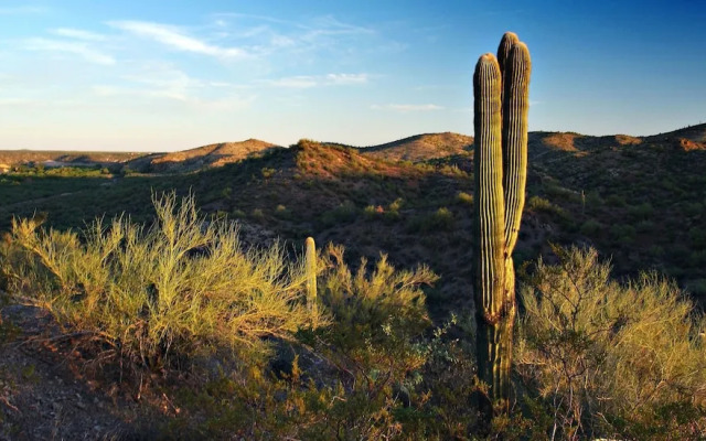 Super 8 Wickenburg AZ