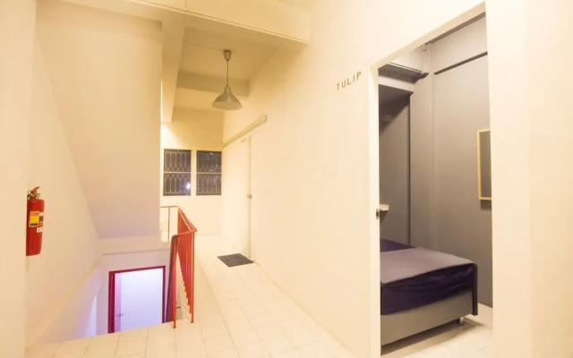 Alice Hostel