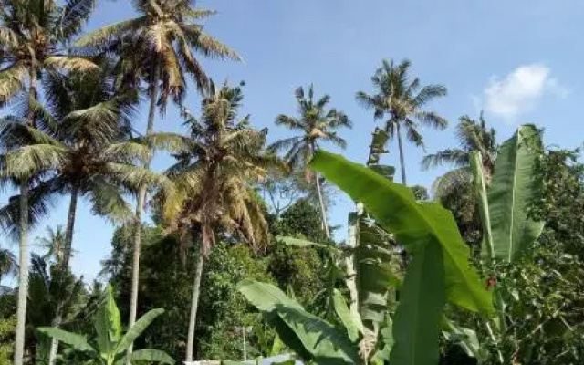 Uma Loris Ubud