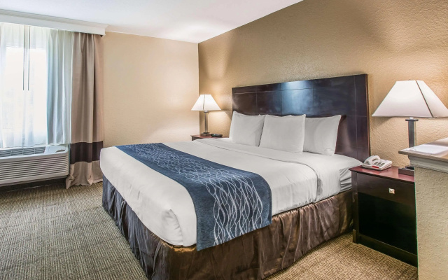 Comfort Inn & Suites DeLand - near University