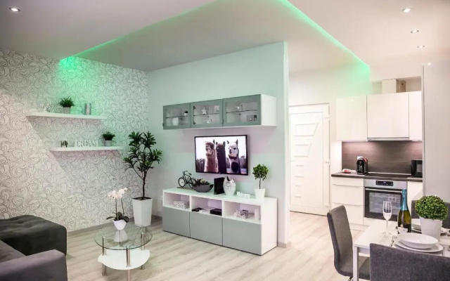 Downtown Dream Apartmans