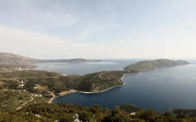 catalogImage