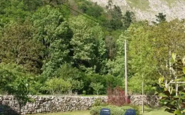 Bajo Los Tilos