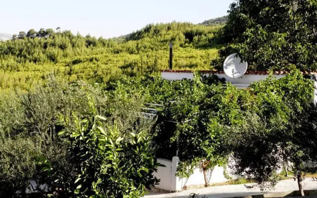 Podstrana House with garden