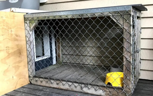 9 Alpine Avenue
