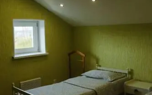 Guest House u ozera na Vyborgskom