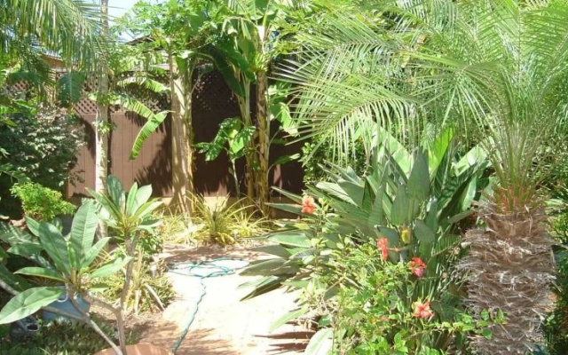 Maui Homestay