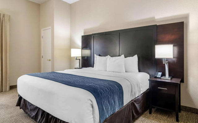 Comfort Inn & Suites Atlanta/Smyrna