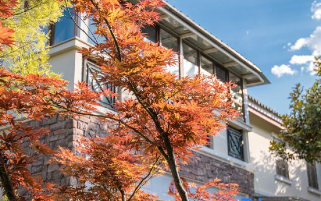 Lijiang Yunting Courtyard Homestay