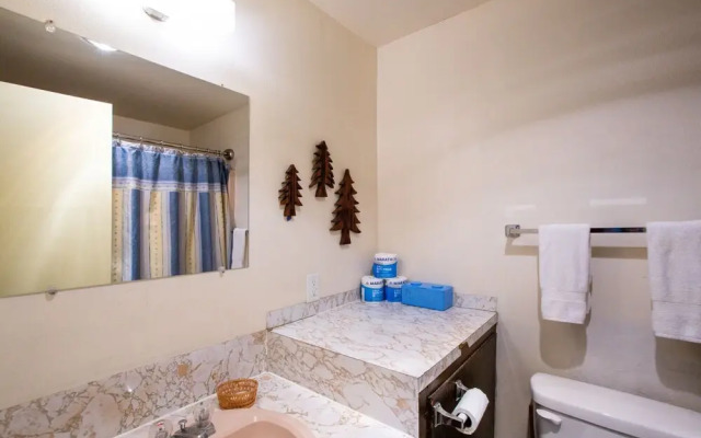 Mt Baker Lodging Condo 77 - Sleeps 2