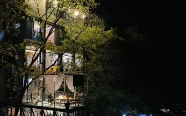 Mount Qingcheng Three Cats  Forest Spa Homestay