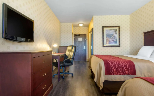 Comfort Inn & Suites