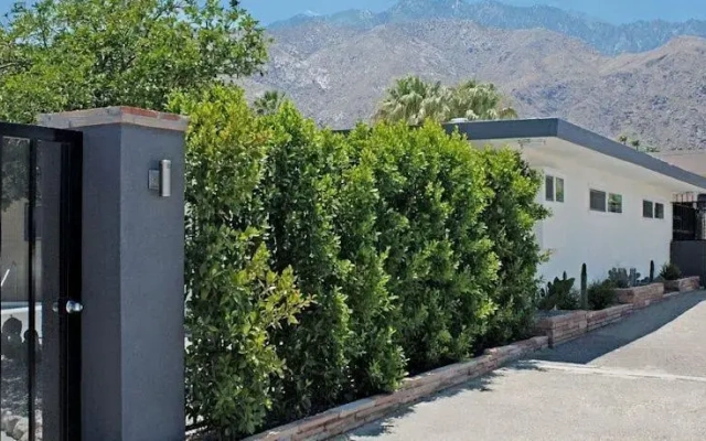 The Cottonwood