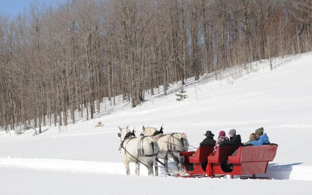Blue Mountain Resort