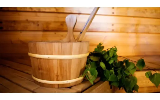 Salkolahti Kiiltavainen