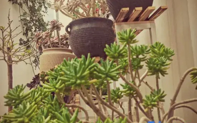 Guinong Courtyard Yuji Homestay
