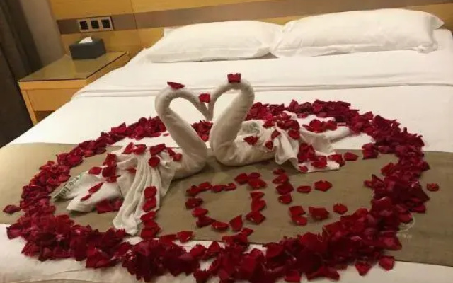 GreenTree Zhixuan Hotel (Hefei Binhu Sunac Paradise High-speed Times Square Branch)
