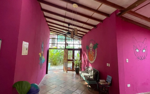 Planet B Hostel