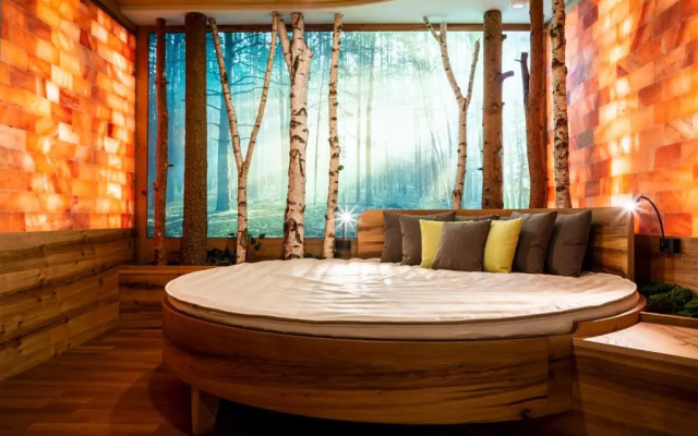 Spirit & Spa Hotel Birkenhof am Elfenhain