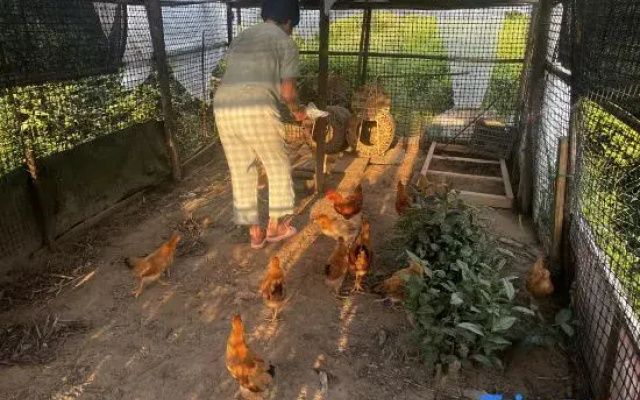 Yiyuan Linyang Homestay