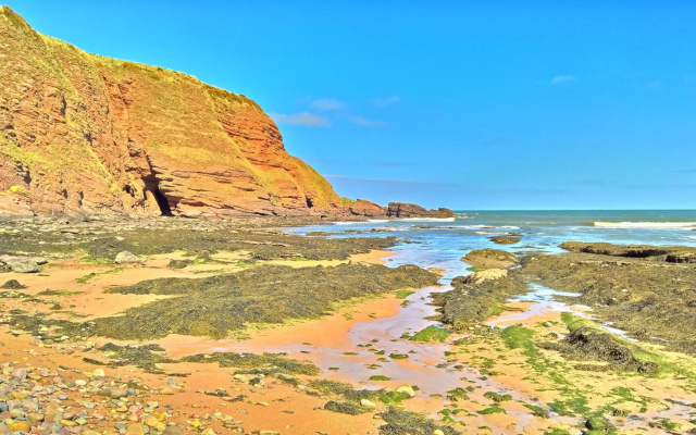 The Wee Anchor