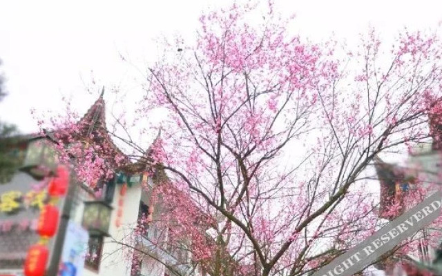 Tujia Chinese Inn (Enshi Tujia Girl's Town)