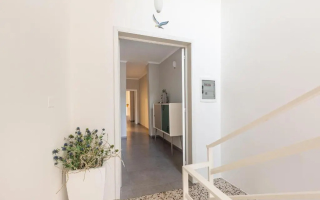 Albatro B&B