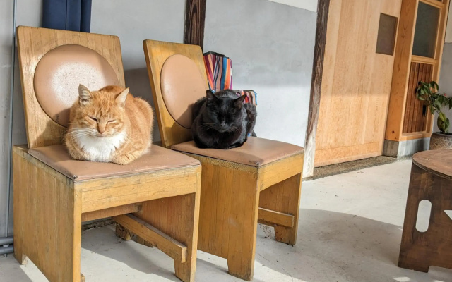 Guesthouse with Cat and Honeybee Kusachike