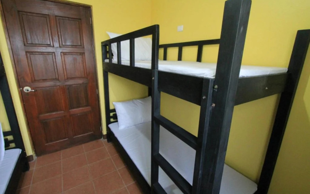 D-Zone Backpackers Inn - Hostel