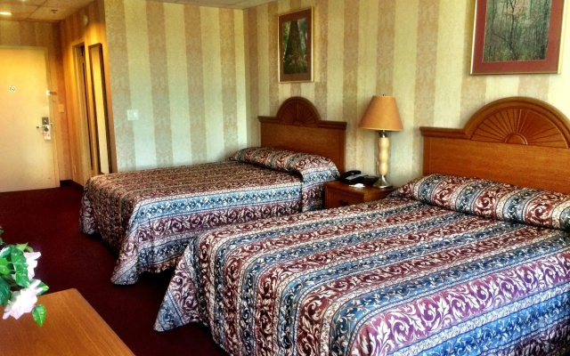 Amsterdam Hotel