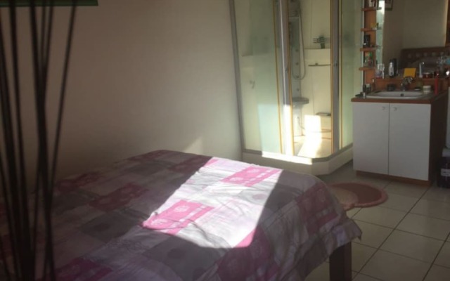 Отель Condo Ohi - Near Plage Toaroto Французская Полинезия, Пунаауиа - отзывы, цены и фото номеров - забронировать отель Condo Ohi - Near Plage Toaroto онлайн комната для гостей