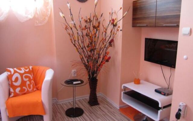 Отель Orange Flower Apartments Болгария, София - отзывы, цены и фото номеров - забронировать отель Orange Flower Apartments онлайн